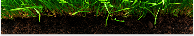 Agricensciences