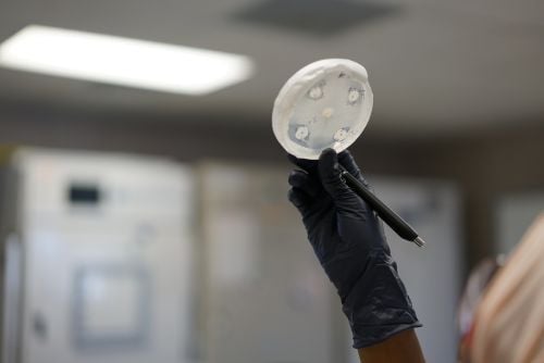 Careers_Card_Micro_6