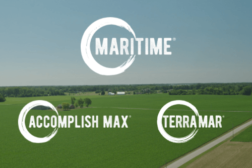 Success Story_Abiotic Stress